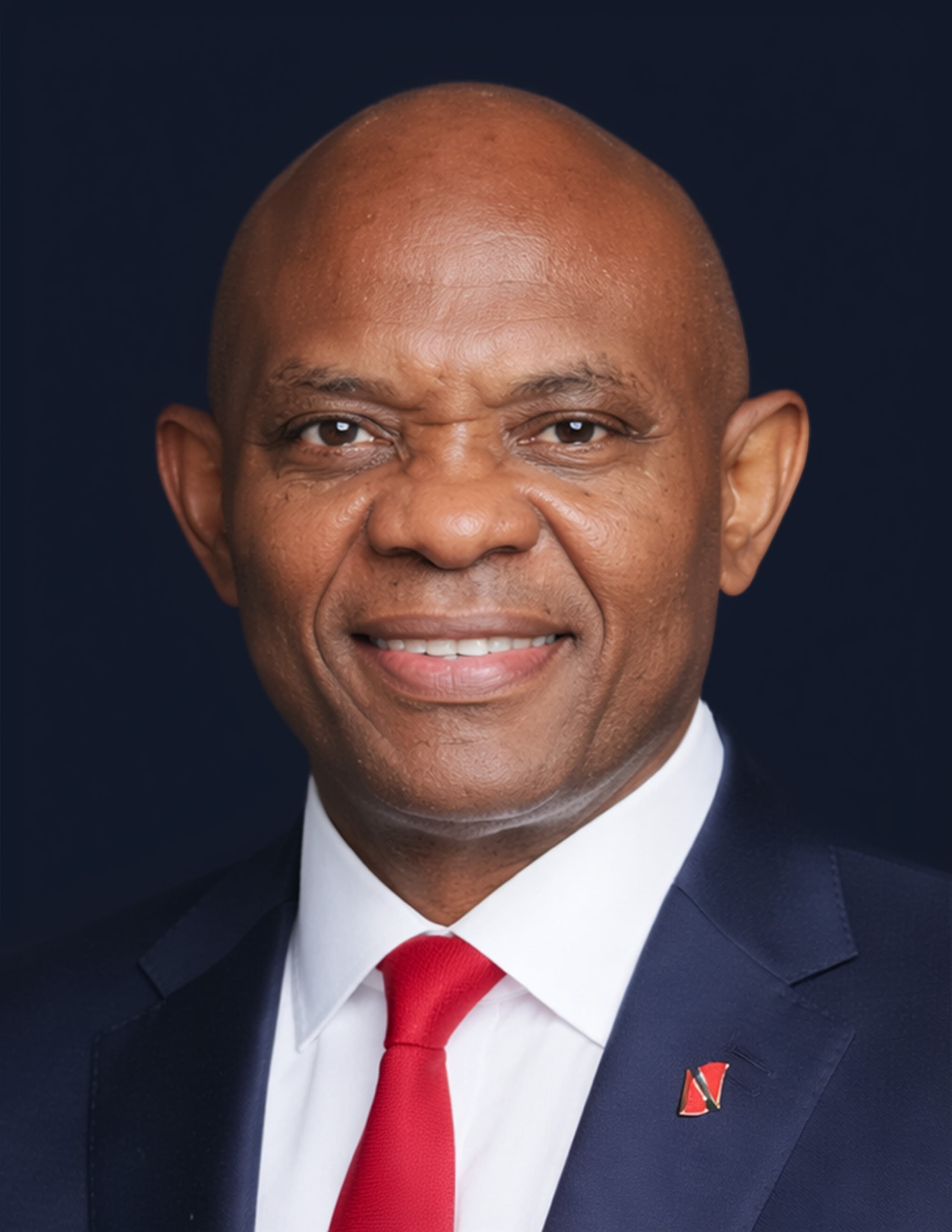 Tony Elumelu portrait
