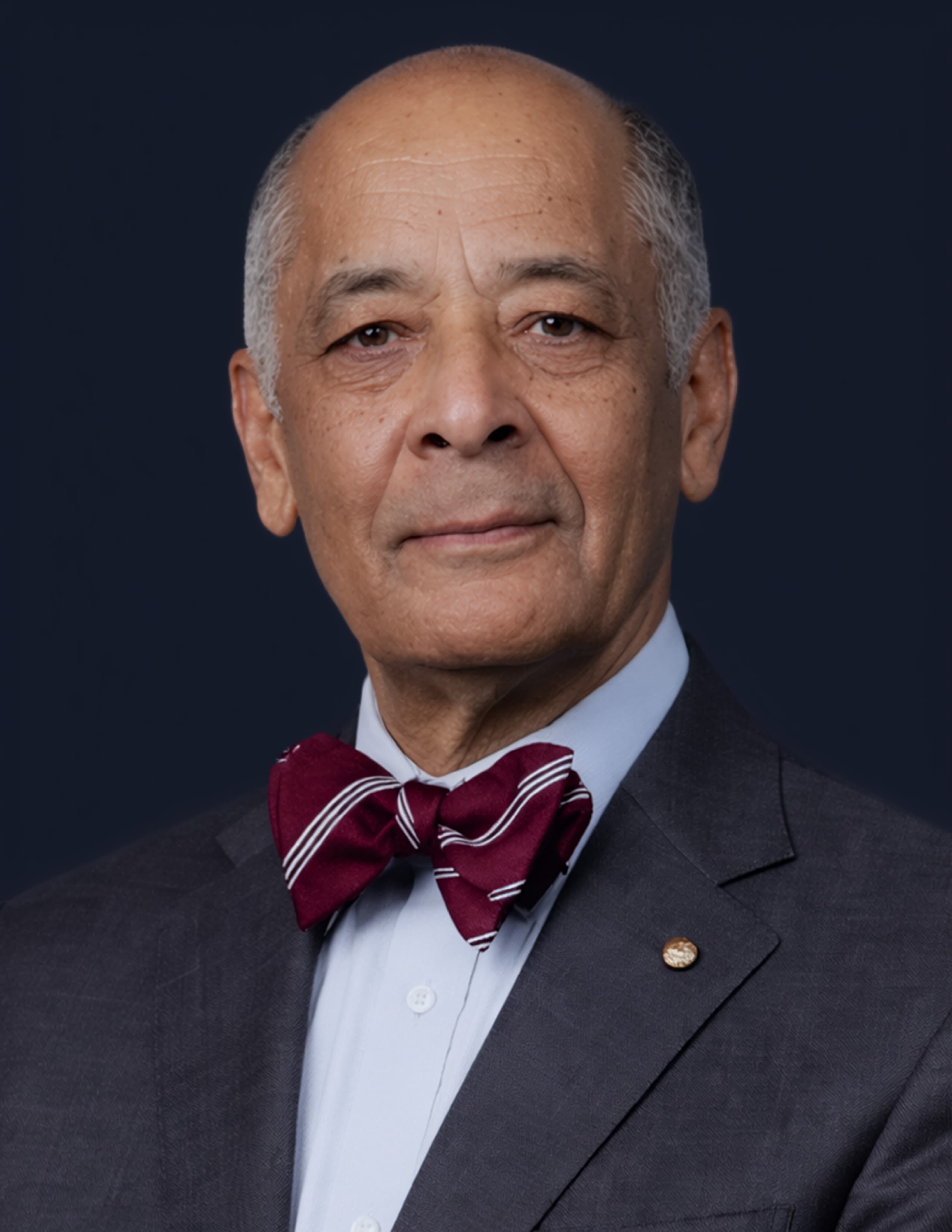 Sir Kenneth Olisa OBE portrait